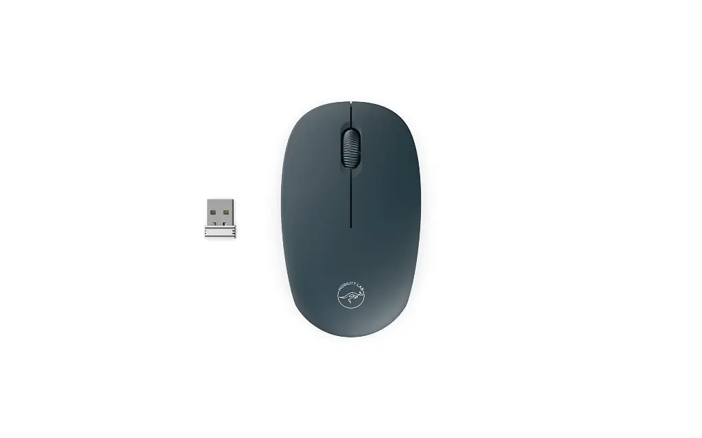 Souris-sans-Fil-USB-MOBILITY-LAB.png