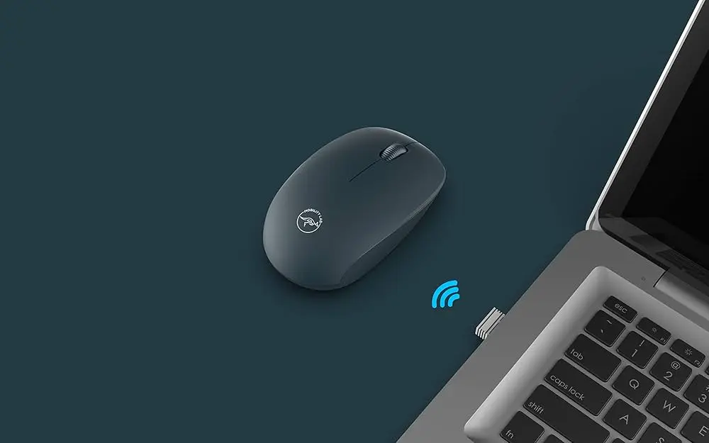 Souris-sans-Fil-USB-MOBILITY-LAB.png