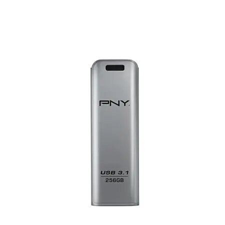 Clé-USB-PNY-256-GB.png