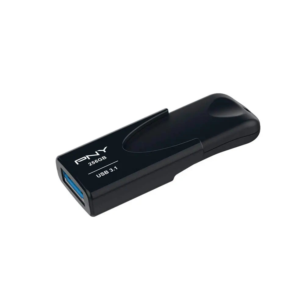 Clé-USB-PNY-256-GB.png