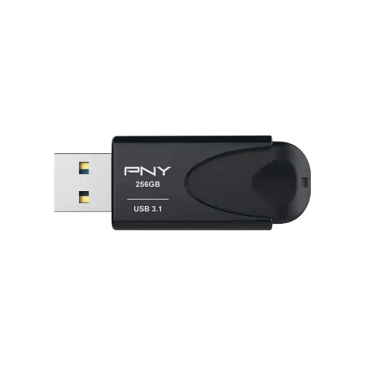 Clé USB PNY 3.1 256 GB