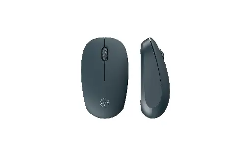 Souris sans Fil USB - MOBILITY LAB  